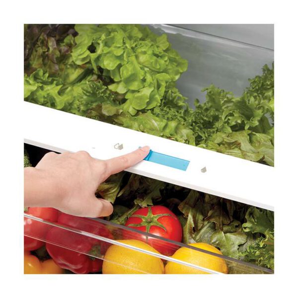 Midea - 27.6 Inch 14.2 cu. ft Top Mount Refrigerator in White - MRT14D2BWW - Image 7